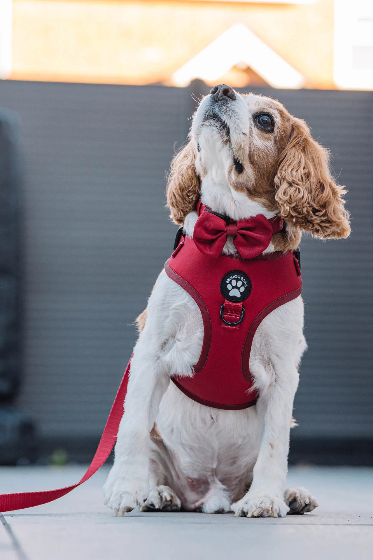 Ruby